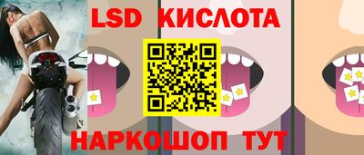дмт Тара