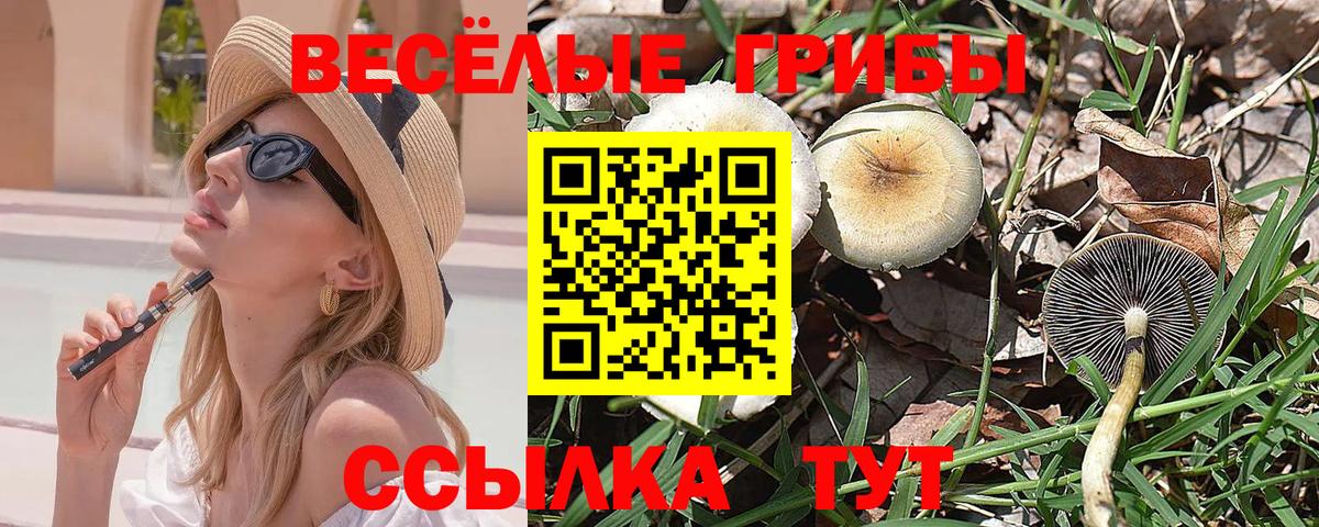 Псилоцибиновые грибы мицелий  Вход с VPN  Воронеж 
